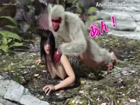 Big dick zoophilia gorilla pounded a lost babe